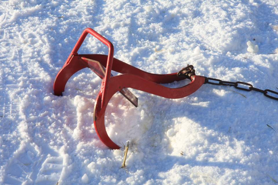 bis der Schlittenanker als Schneebremse am Zielort wieder in den Schnee gerammt wird, damit die Hunde nicht weiter stürmen