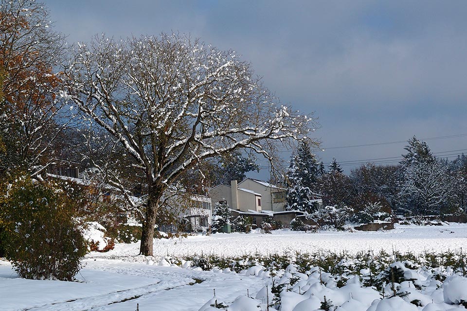 Schnee im Oktober - 2012, KK