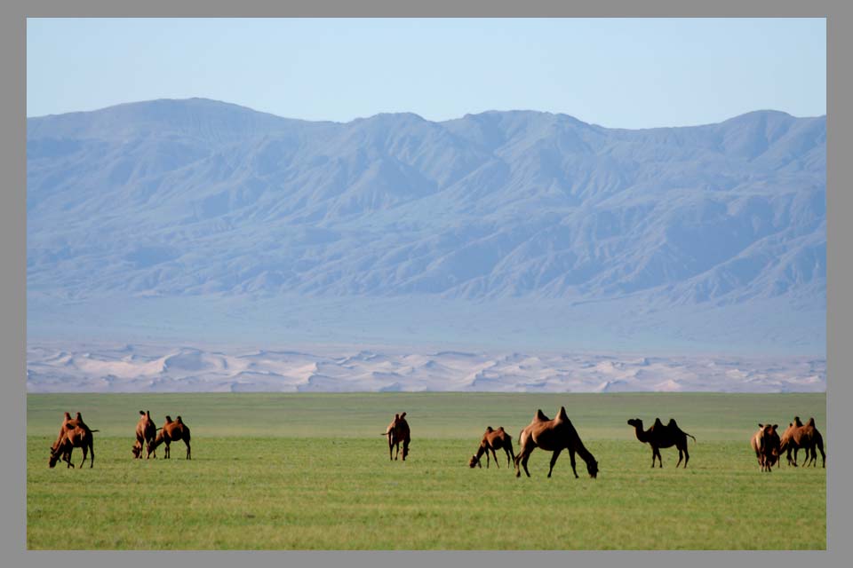 Die Weite der Mongolei - II - 2006