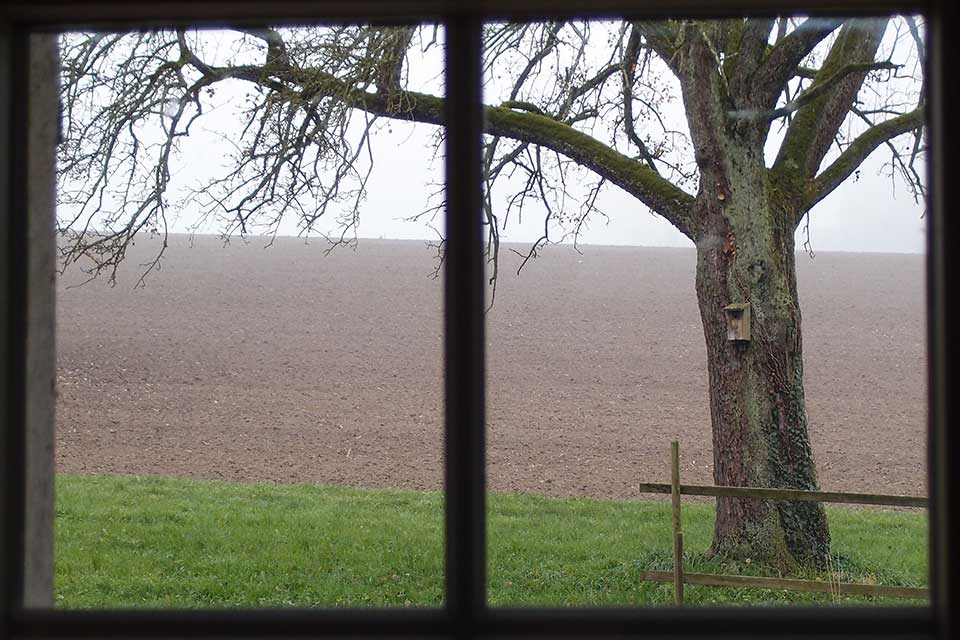 Blick durchs Fenster, November 2012