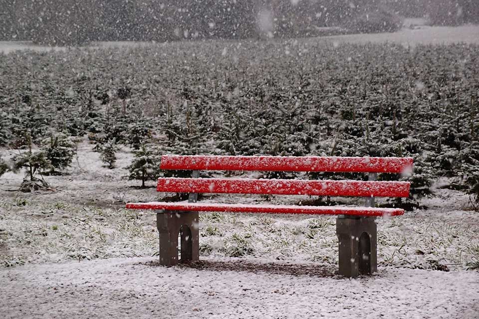Einsetzender Schneefall im Flachland, Dezember 2012