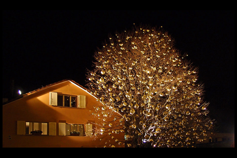 Ein besonderer Weihnachtsbaum an der Seestrasse am Zürichsee - Dezember 2012