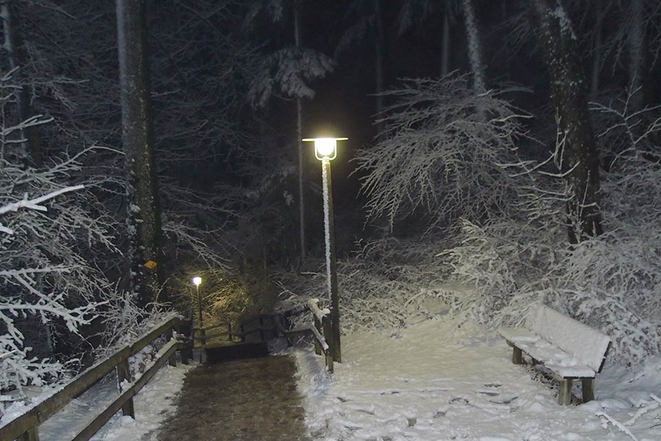 Uetliberg, Januar 2013; bei der Bergstation, Aufnahme mit Blitzlicht