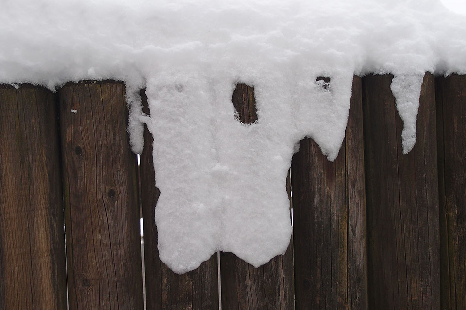Schnee, der wie ein Stück Stoff am Holz hängt - Februar 2013