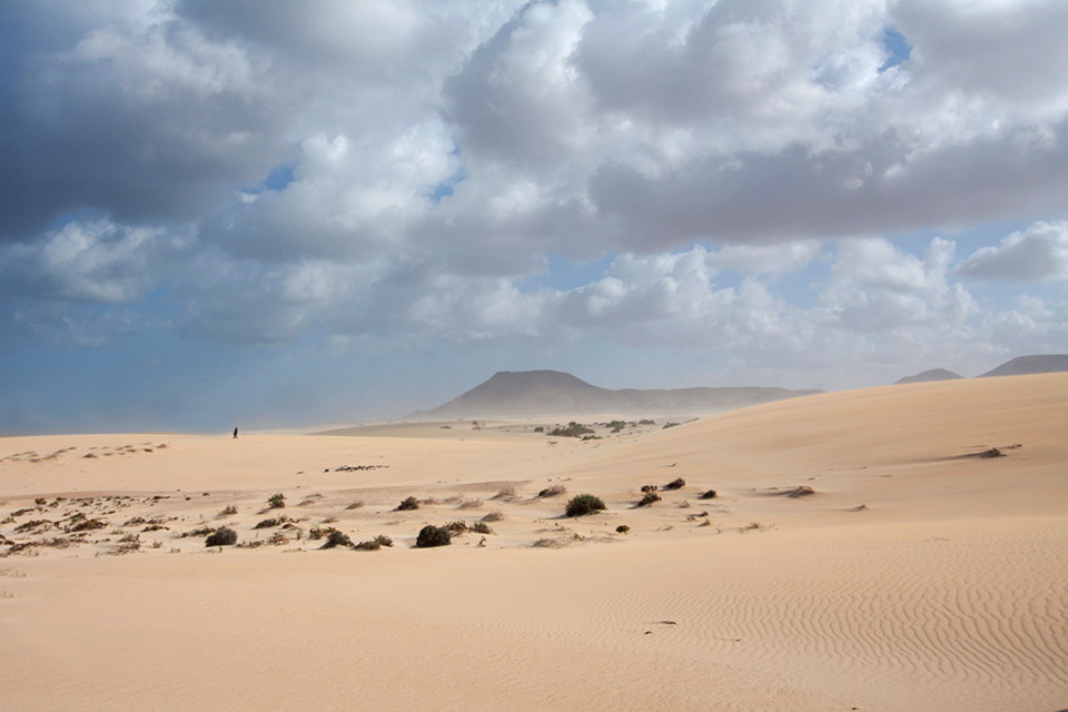 Fuerteventura - Nationalpark bei Corralejo - Die Weite - März 2014 - Canon EOS 40D