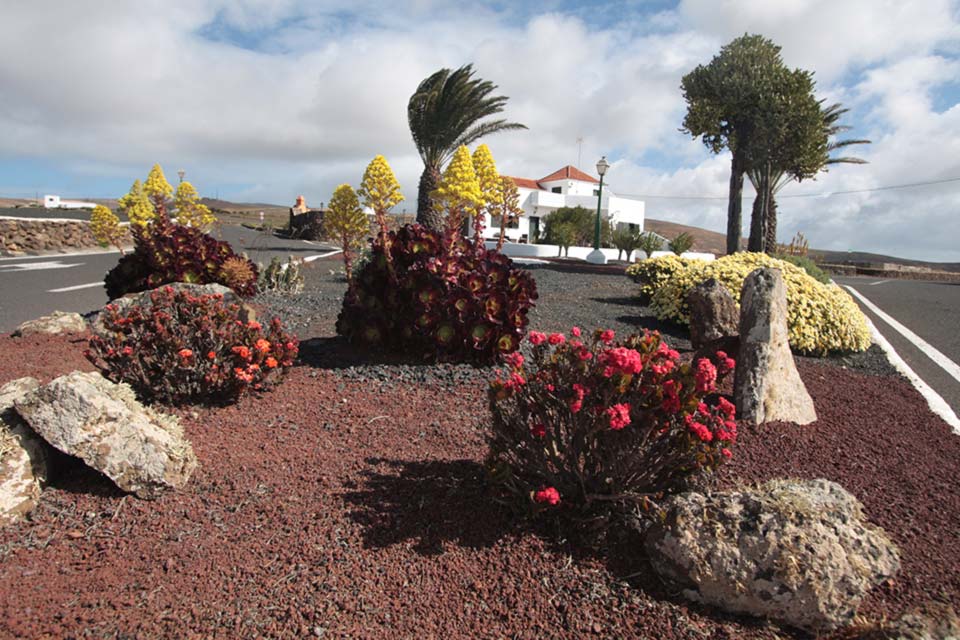 Lanzarote - Einer der Blumengärten in El Mojón - April 2014 - Canon EOS 40D