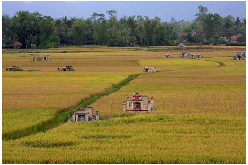 chinesische Gräber in Reisfeldern auf dem Weg nach Danang - by Lookabout, 2009/04