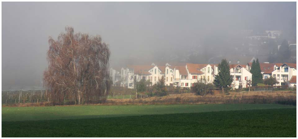 Dorfrand im Nebel - Nov. 2011