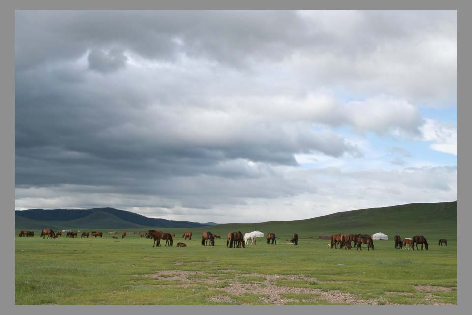 Die Weite der Mongolei - II - 2006