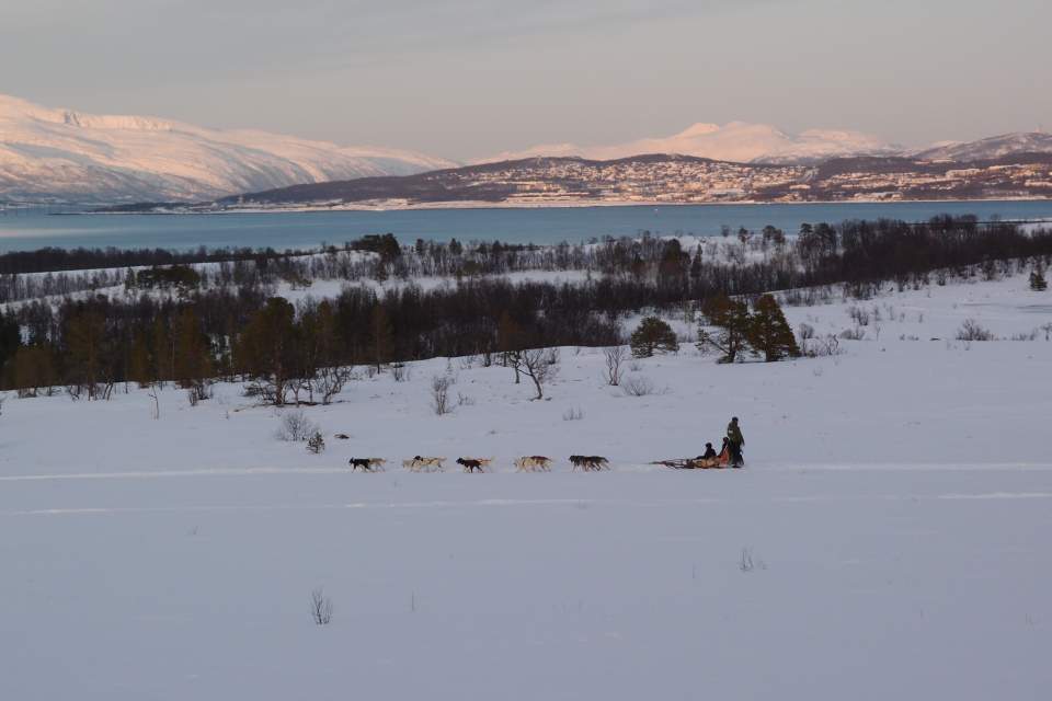 Landschaft bei Tromsö, mit Schlittenhunden, März 2012, KK