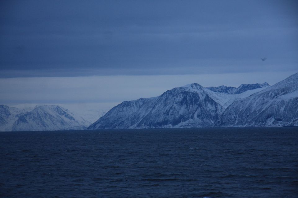 Hurtigruten: die blaue Abendstunde im März 2012